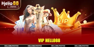 Quyền lợi đặc biệt dành cho hội viên VIP