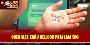 Tại sao anh em thường quên mật khẩu Hello88?